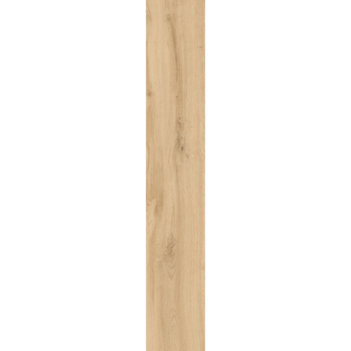 Light oak wood-effect porcelain tile plank showing natural grain and warm texture – Natura Betulla