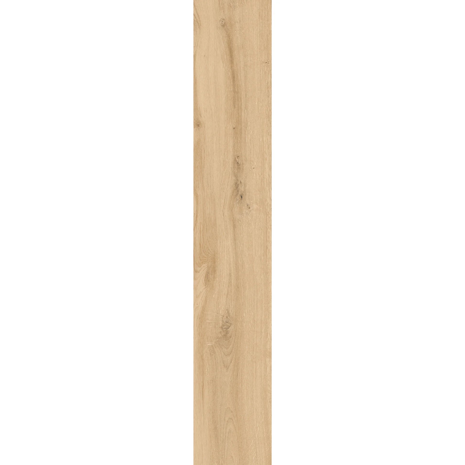 Light oak wood-effect porcelain tile plank showing natural grain and warm texture – Natura Betulla